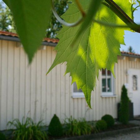 Gaestehaus Gaumenflug Am See غنزبرغ المظهر الخارجي الصورة