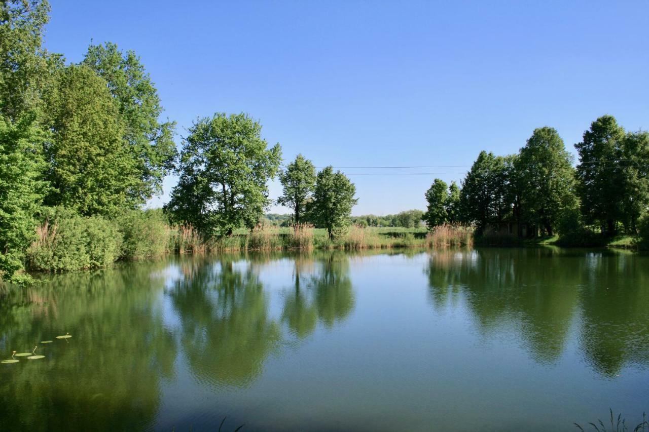 Gaestehaus Gaumenflug Am See غنزبرغ المظهر الخارجي الصورة
